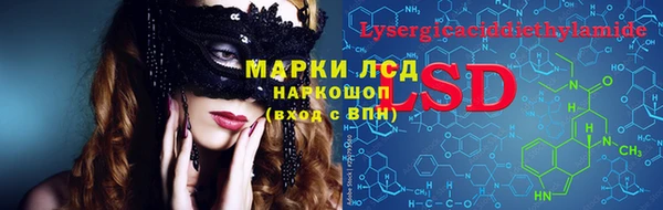 хмурый Елизово