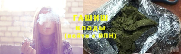 хмурый Елизово