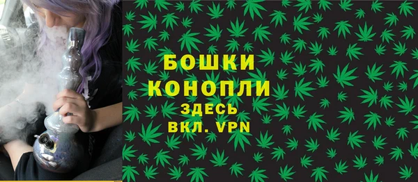 дурь Елабуга