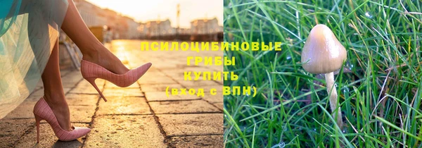 дурь Елабуга