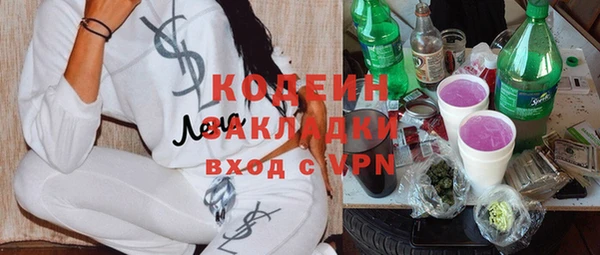 хмурый Елизово