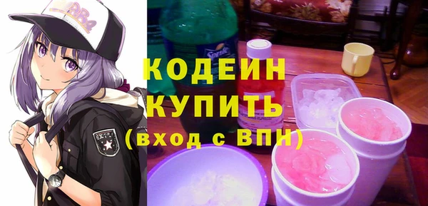 хмурый Елизово