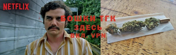 герыч Ельня
